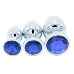 Training Butt Plug Set (3 Piece)