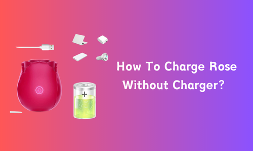 How To Charge Rose Without Charger